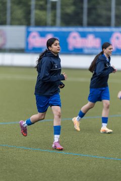 Bild 26 - wBJ Hamburger SV - FC Suederelbe : Ergebnis: 9:0